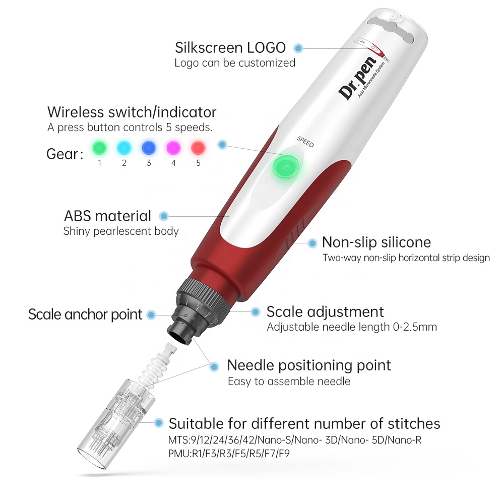 Derma Pen N2