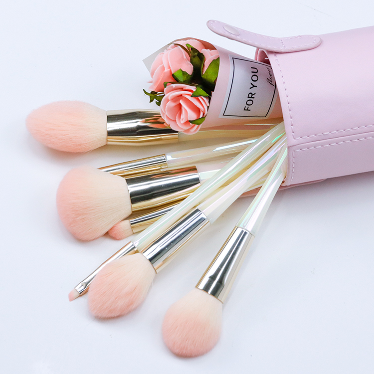 Gradient pink hair with glossy shell and colorful plastic handle series of brush sets