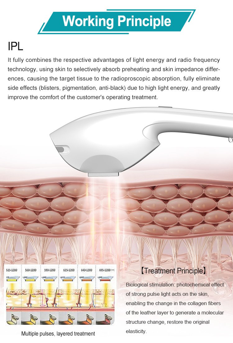 IPL+Q-Switch+Diode Laser (3 in 1)