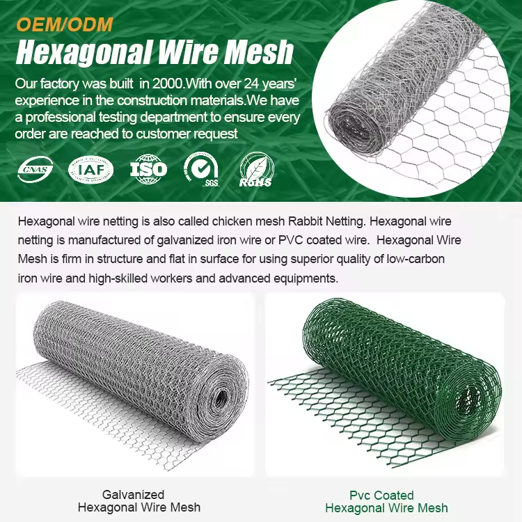 Hexagonal Wire Mesh