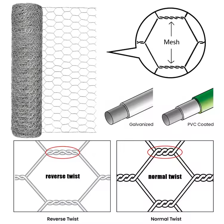 Hexagonal Wire Mesh
