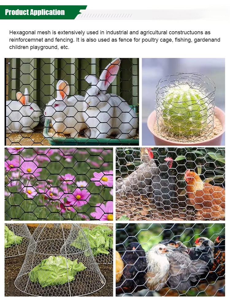 Hexagonal Wire Mesh