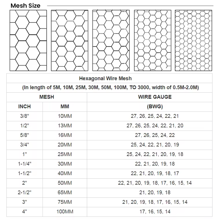 Hexagonal Wire Mesh