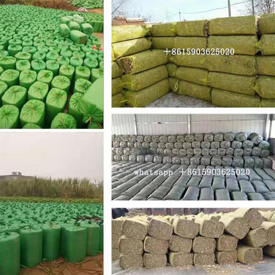 Automatic Farm Silage Baler Making Equipment Animal Feed Hay and Straw Alfalfa Square Horizontal Hay Baler Machine