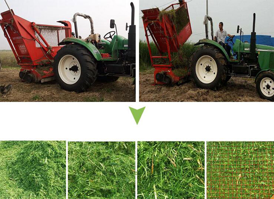 Tractor Matched Straw Recycling Machine For Corn Hay Harvester Machine Silage Forage Chopper With Storage Bin