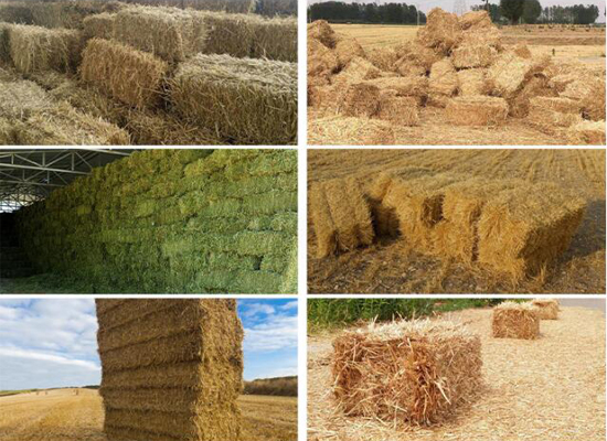 Tractor Mounted corn Silage Baler machine pine straw crops Square Hay Baler with cutting and collecting functions