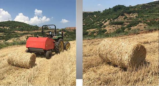 Tractor Mounted 3 Point Wheat Hay And Round Pine Straw Baler Machine For Sale