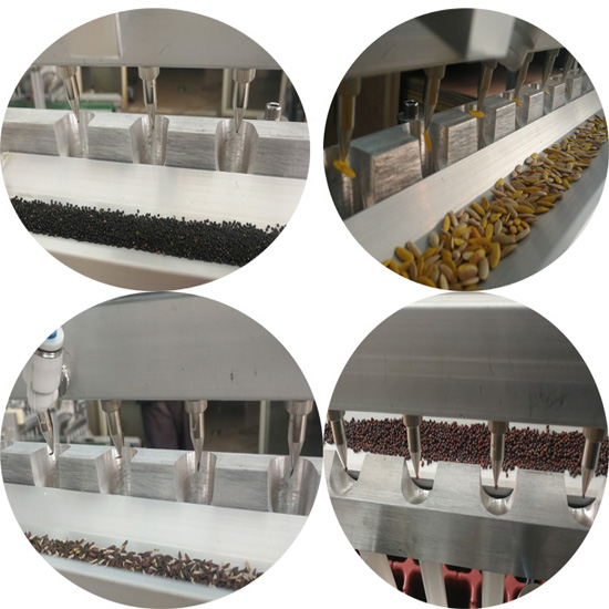 Automatic Vegetable Tray Vegetable Seeder Machine onion Seeding Nursery Line lettuce seeding sowing machine