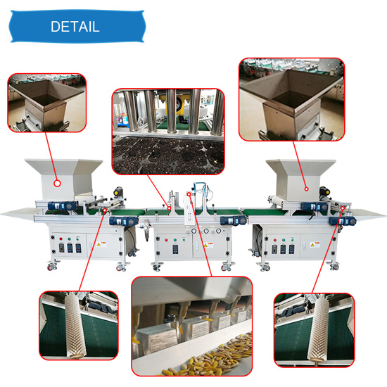 Automatic Vegetable Tray Vegetable Seeder Machine onion Seeding Nursery Line lettuce seeding sowing machine