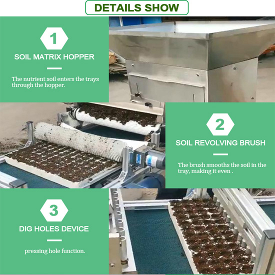 Automatic Vegetable Tray Vegetable Seeder Machine onion Seeding Nursery Line lettuce seeding sowing machine