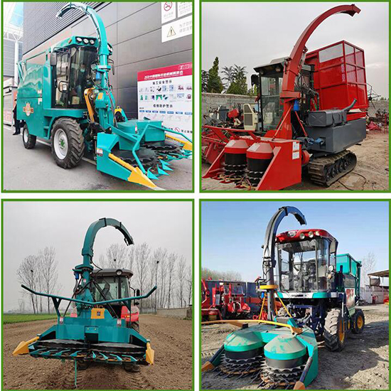Top sales best price tractor mounted forage harvester silage grass cutting harvester corn silage harvester machine