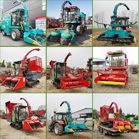 Top sales best price tractor mounted forage harvester silage grass cutting harvester corn silage harvester machine