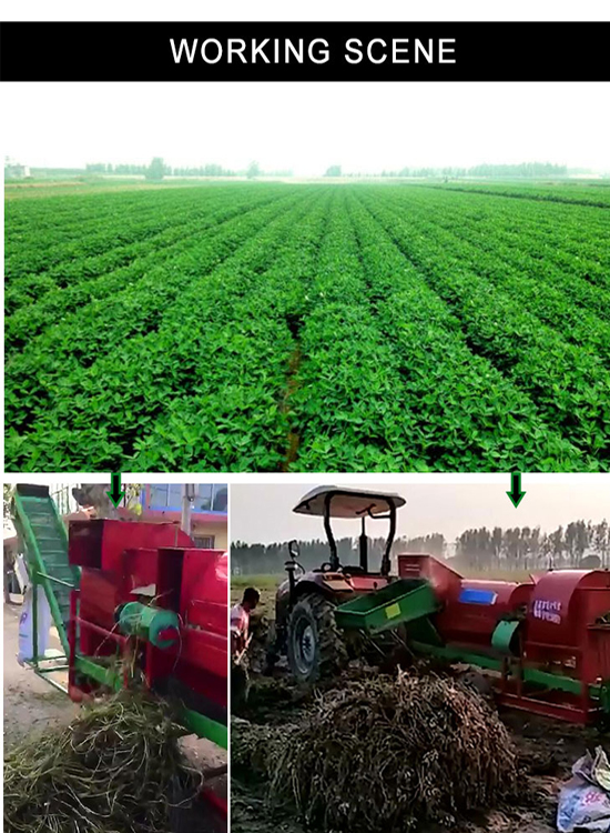 Best Price Of Peanut Combine Harvester Groundnut Harvesting Machine Peanut Picker Fresh Peanut Picking Machine