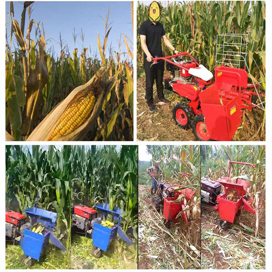 Best selling Dry and wet corn harvester hand working tractor mini maize combine harvester