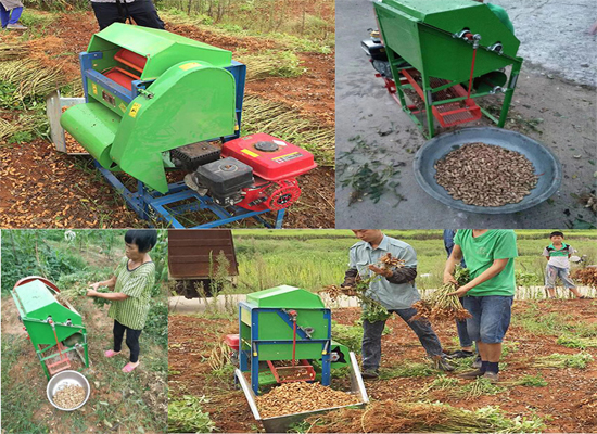 Best quality wet peanut groundnut picking picker machine for sale groundnut peanut picker harvesting machine price