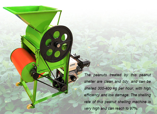 Best selling home use peanut sheller groundnut decorticator machine with different engine