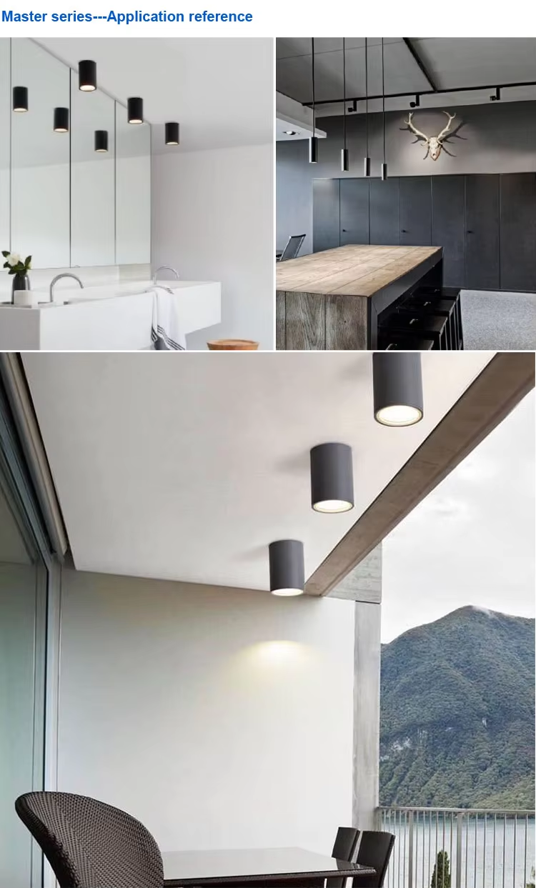 10 Years Gold Supplier CETL ETL Listed Ceiling Downlight Waterproof Downlights 10W 20W 30W