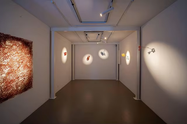 30W LED Spot Imaging Museum Light for Paintings Track Led Light