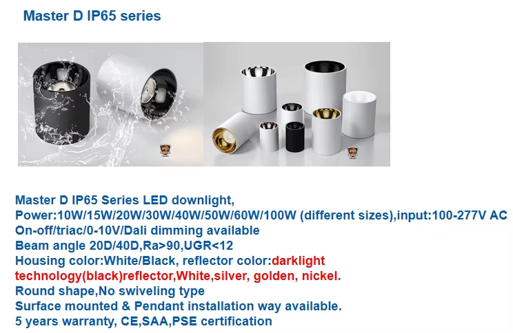 10 Years Gold Supplier CETL ETL Listed Ceiling Downlight Waterproof Downlights 10W 20W 30W