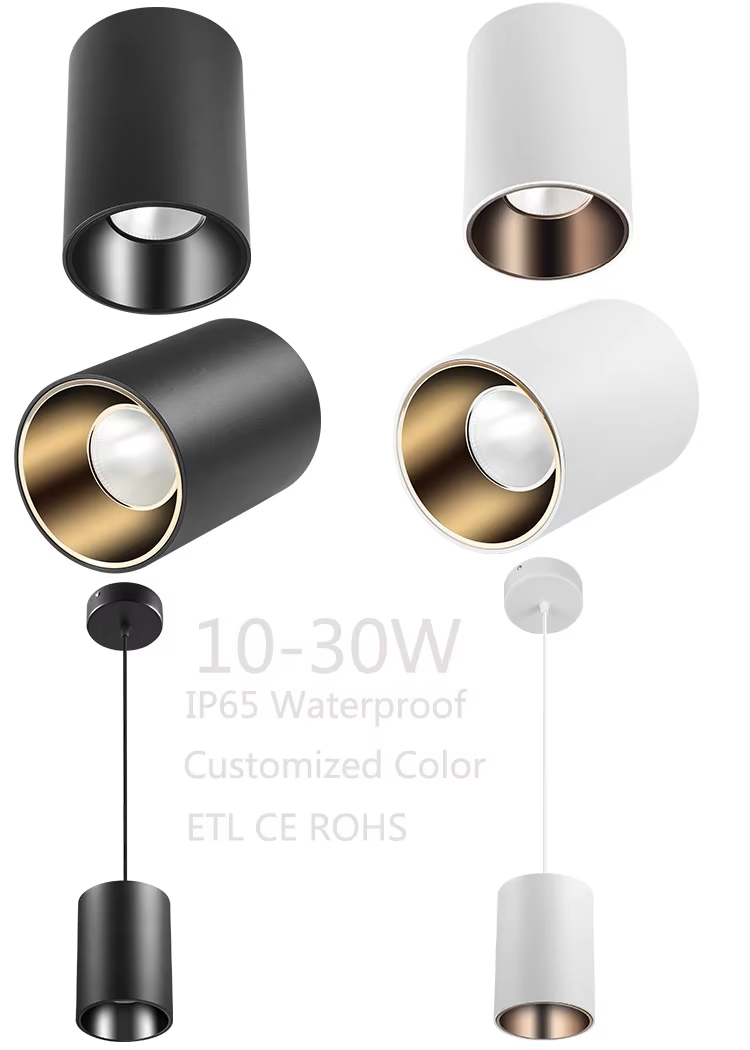 10 Years Gold Supplier CETL ETL Listed Ceiling Downlight Waterproof Downlights 10W 20W 30W