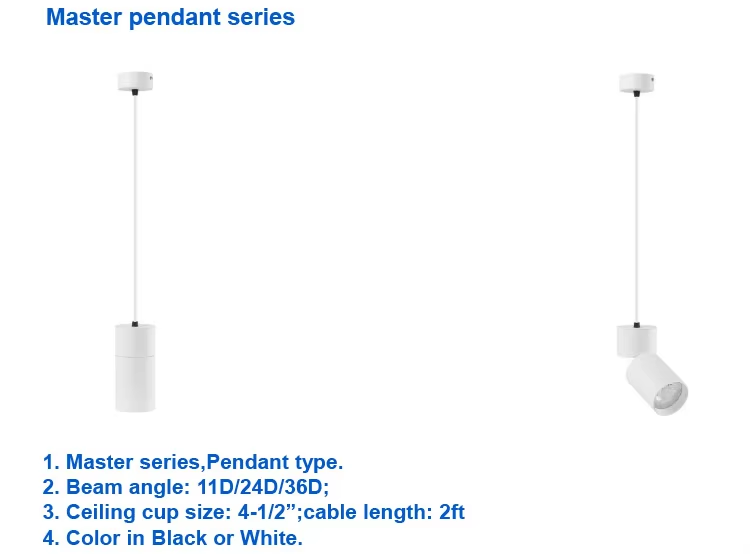 10 Years Gold Supplier CETL ETL Listed Ceiling Downlight Waterproof Downlights 10W 20W 30W