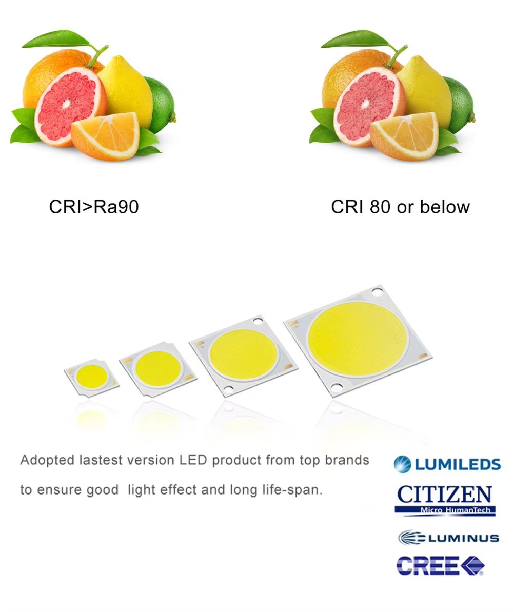 30W LED Spot Imaging Museum Light for Paintings Track Led Light