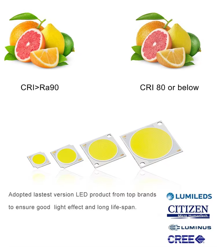 10 Years Gold Supplier CETL ETL Listed Ceiling Downlight Waterproof Downlights 10W 20W 30W