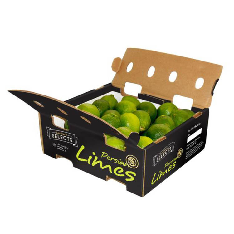 BDL Wholesale Corrugated Cardboard Fruit Vegetable Packaging Carton 