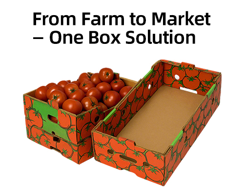 BDL Wholesale Vegetable And Fresh Fruit Packaging Boxes Corrugated Carton box