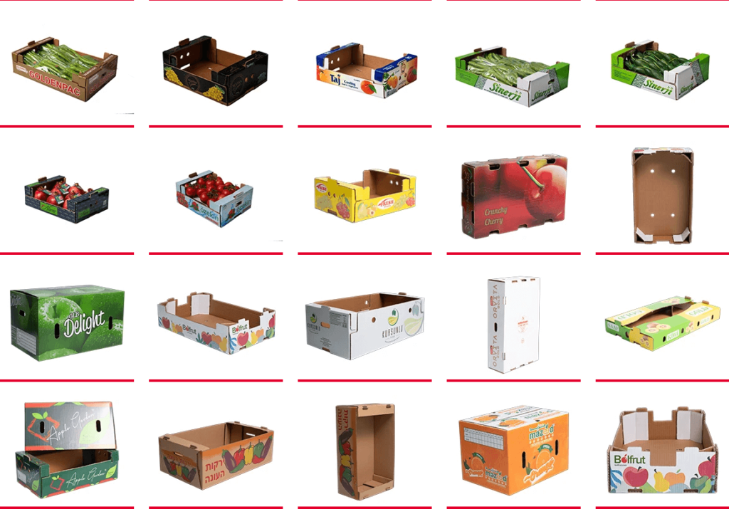 BDL Custom Cardboard Fruit And Vegetable Box Package for Shipping