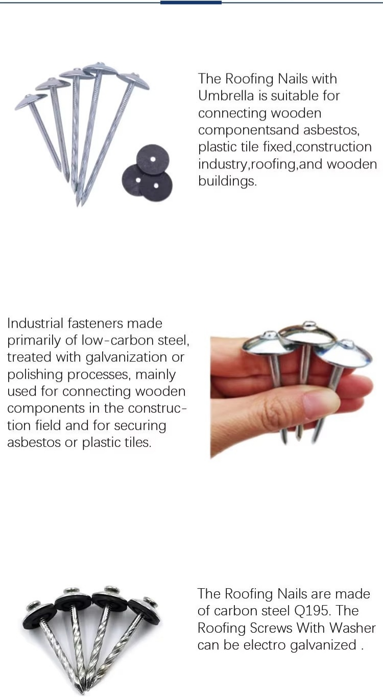 Roofing Nail