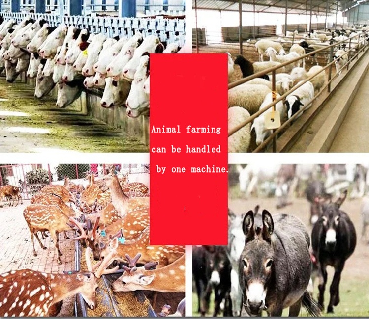 Diesel Engine Silage Mixer and Spreading Vehicle Feed Distributor with 3CBM Capacity for Cattle Farm Use