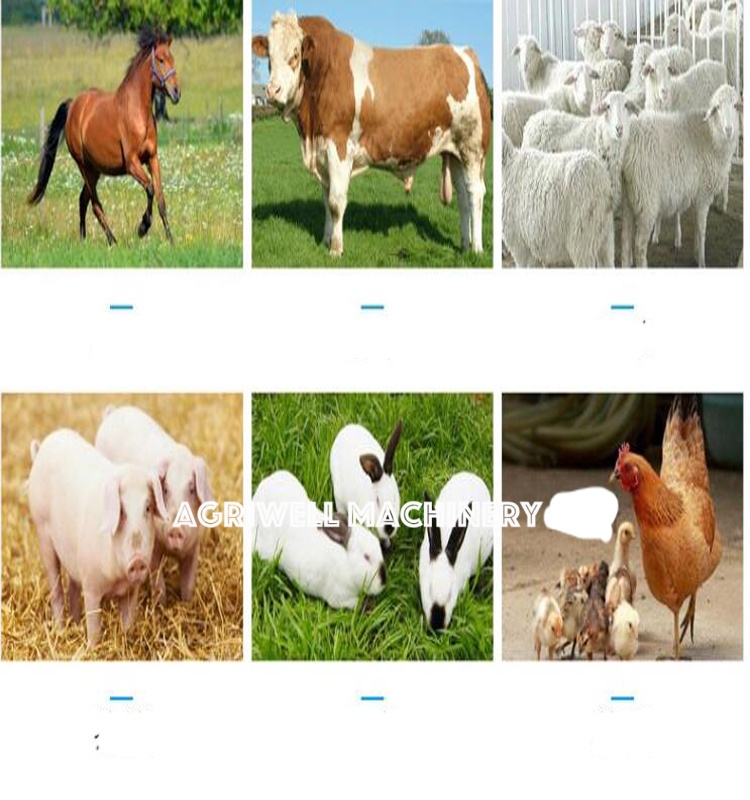 Corn Straw Stalk Shredder Machine Grass Silage Chaff Cutter Chopper Machine for poultry animal feed processing