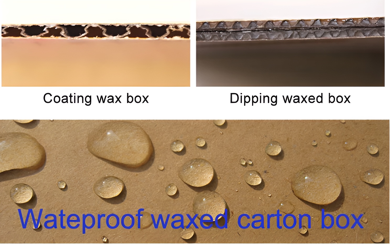 BDL Wax Coated Waterproof Box for Seafood Meat Vegetable Fruit Transport Frozen Storage and Cold Chain Distribution Use