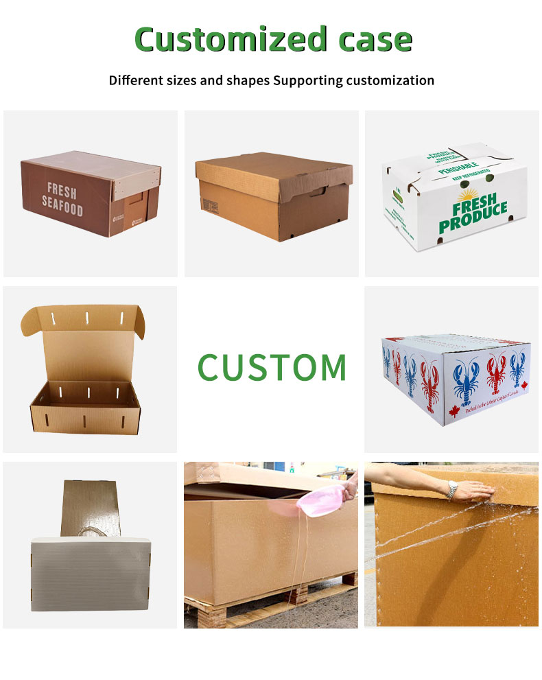 BDL Wholesale Transport Wax Coated Corrugated Cardboard Vegetable Folders Recycled 