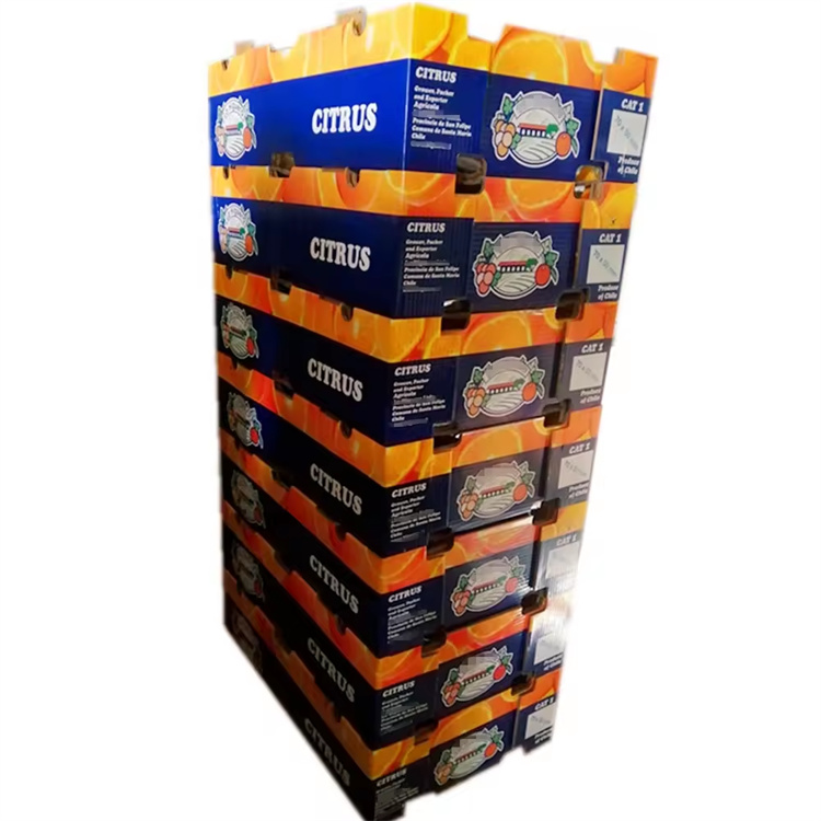 BDL Apple Peach Fruit Vegetable Corrugated Folded Packaging Paper Box for Shipping