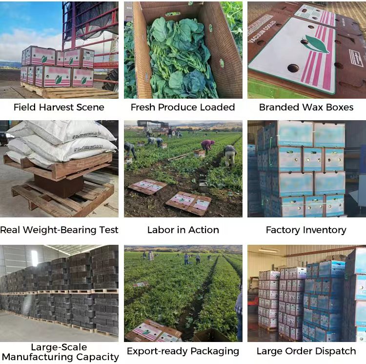 BDL Custom Cardboard Grape Fruit And Vegetable Box Package for Shipping