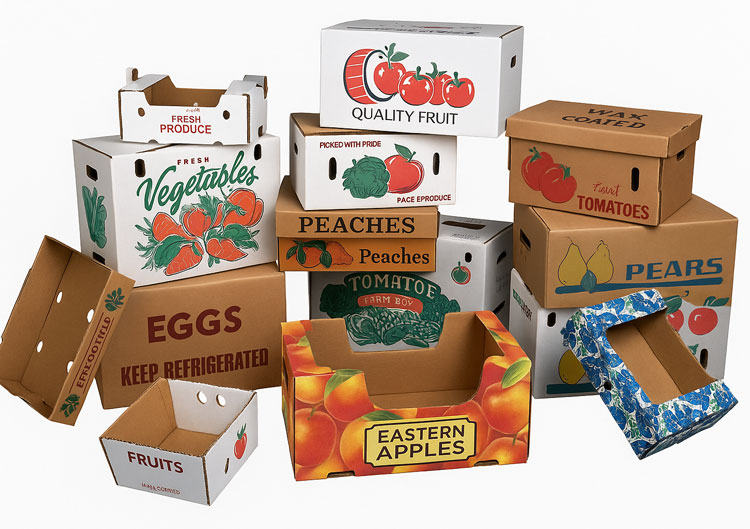 BDL Custom Printed  Vegetable Cherry  Fruit Corrugated Board Carton Packaging Box 