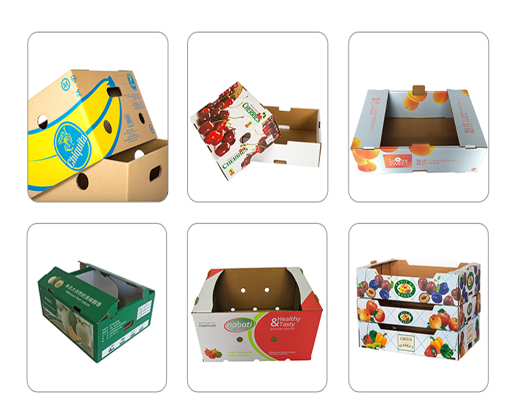 BDL Corrugated   Fruit Vegetable Cartons Ventilated Water Resistant Export Shipping Boxes