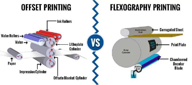 What to Check When Buying Custom Carton Boxes? Avoid These Pitfalls