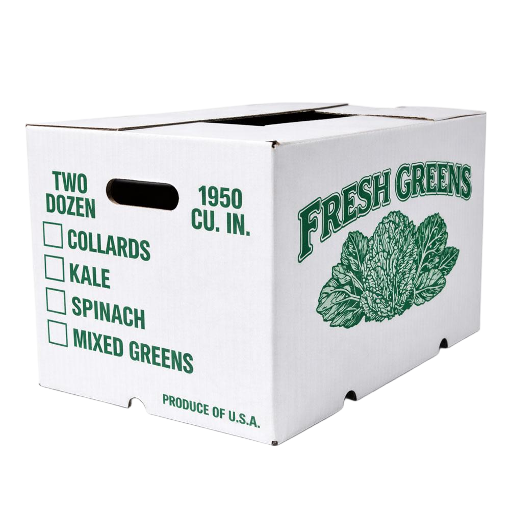 Heavy duty corrugated produce carton with ventilated panels and die cut handle, Birtleypack