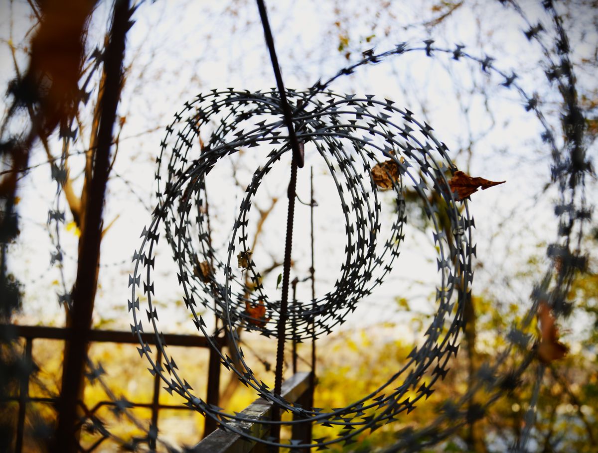 Galvanized razor wire coil in autumn light